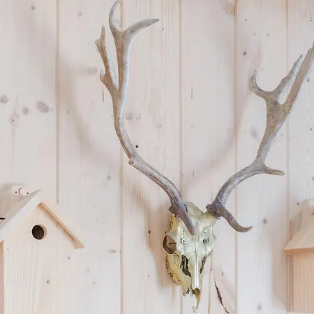 Jodła Jacuzzi&sauna Alloggio in famiglia