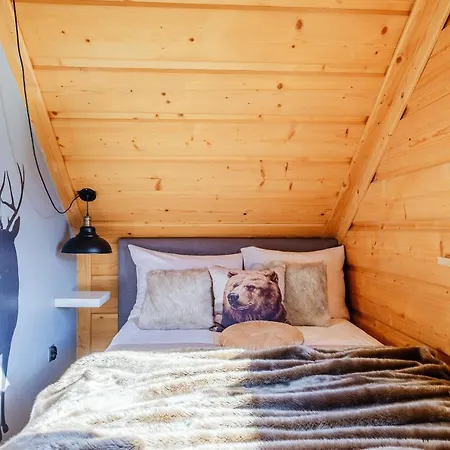 Willa Jodla Jacuzzi&Sauna Homestay *