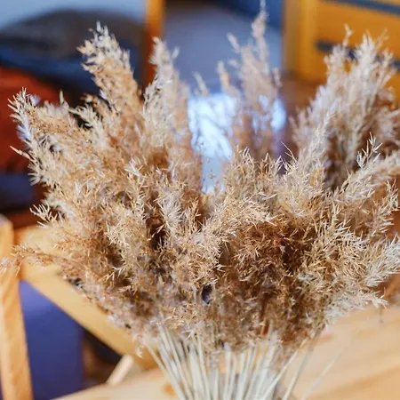 Pansiyon Jodla Jacuzzi&sauna Poronin