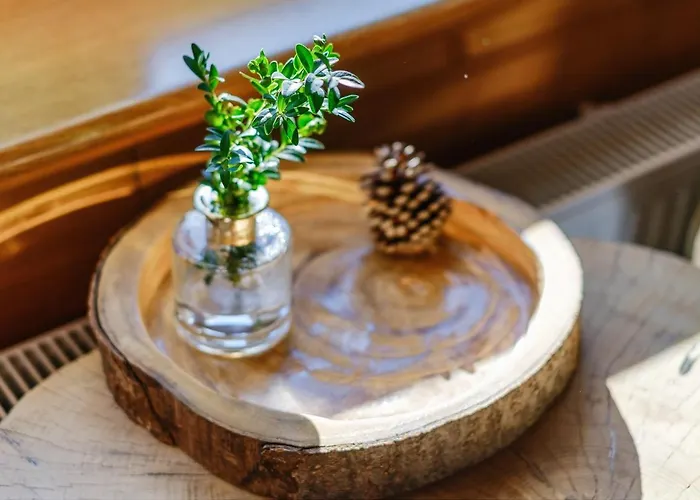 Jodla Jacuzzi&sauna Kwatera prywatna *